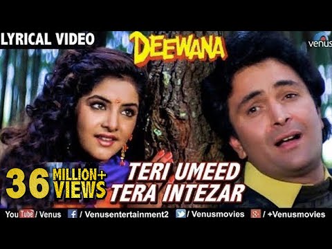 Teri Umeed Tera Intezaar Karte Hain Lyrics