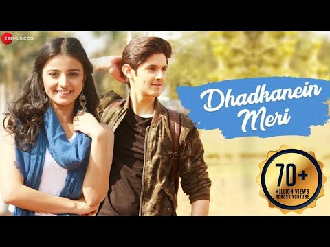 Mera Tere Liye Hi Hua Hai Janam Lyrics