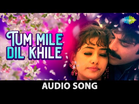 Tum Mile Dil Khile Lyrics