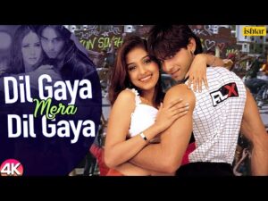 Dil Gaya Mera Dil Gaya Lyrics in Hindi | दिल गया मेरा दिल गया लिरिक्स 