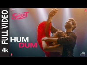 Hum Dum Lyrics in Hindi | हम दम लिरिक्स 