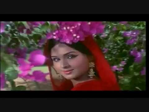 Mere Diwanepan Ki Bhi Dawa Nahin Lyrics | मेरे दीवानेपन की भी दावा नहीं