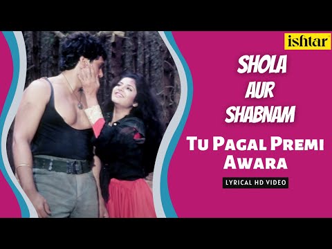 Tu Pagal Premi Awara Lyrics | तू पागल प्रेमी आवारा लिरिक्स