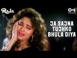 Jaa Sajna Tujhko Bhula Diya Lyrics | जा सजना तुझको भुला दिया लिरिक्स