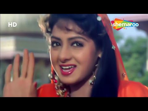 Mere Dil Ki Galiyon Mein Lyrics in Hindi | मेरे दिल की गलियाँ में लिरिक्स