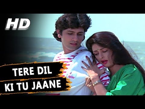 Tere Dil Ki Tu Jaane Lyrics in Hindi | तेरे दिल की तू जाने लिरिक्स
