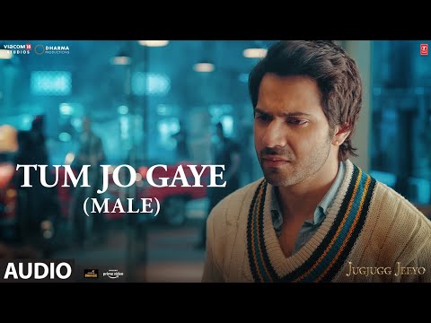 Tum Jo Gaye Lyrics | तुम जो गए लिरिक्स