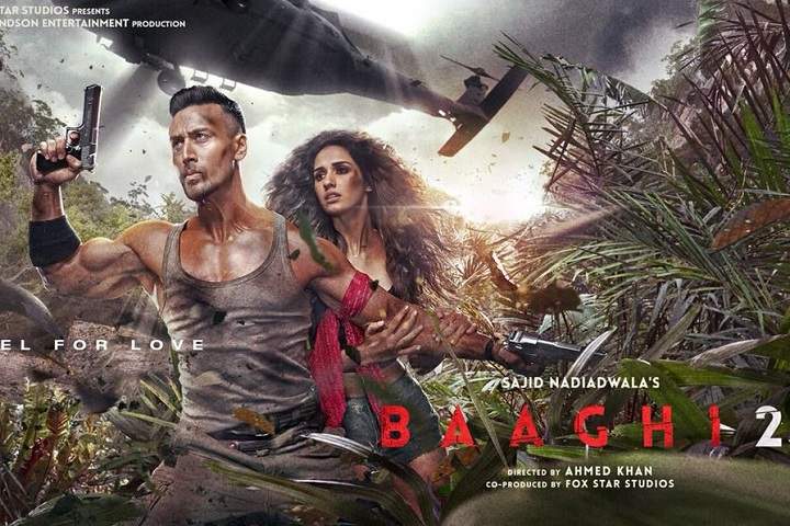 baaghi 2