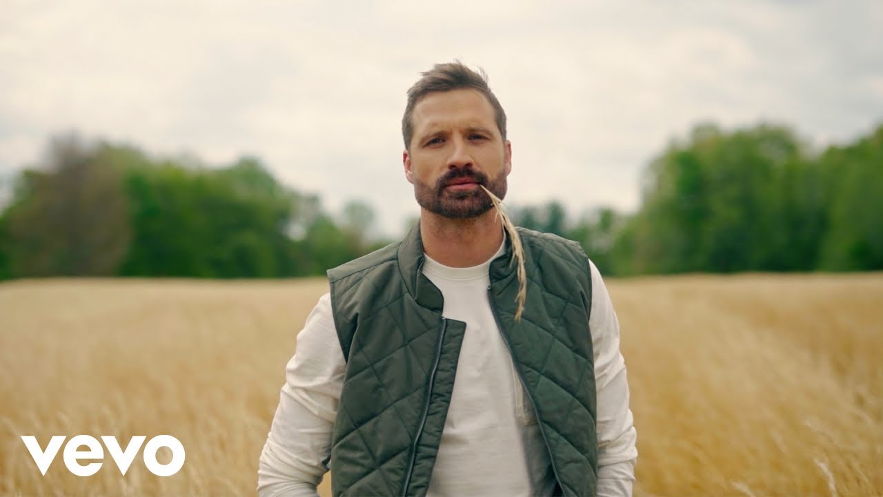 Fancy Like featured image