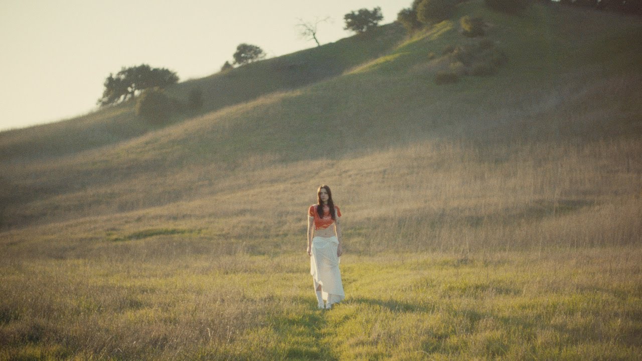 Ceilings featured image